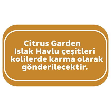 Sleepy Citrus Garden Islak Bebek Havlusu 3x90 (270 Yaprak)